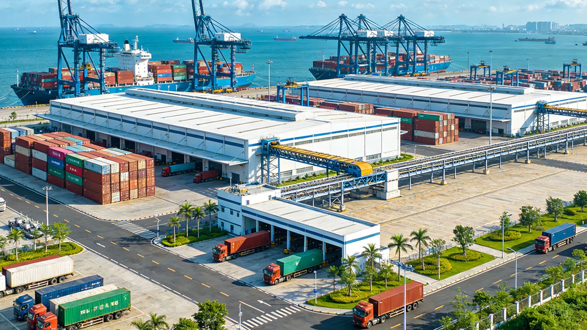 高效农业技术应用