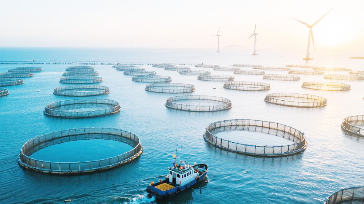 可行性研究报告编制流程与依据