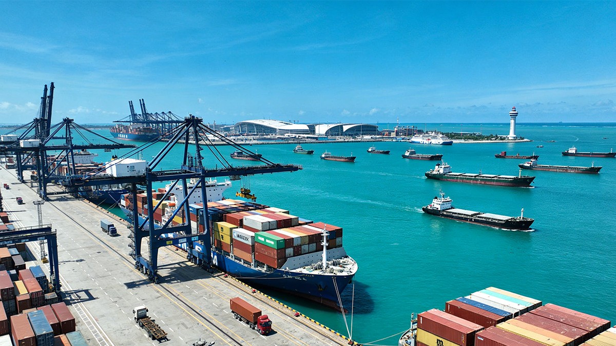 可研报告分析图表