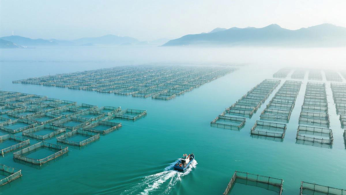 物流数据可视化分析