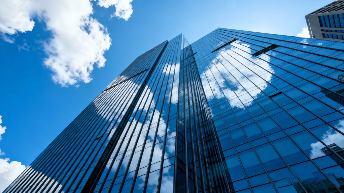 自贸港人才服务窗口示意图